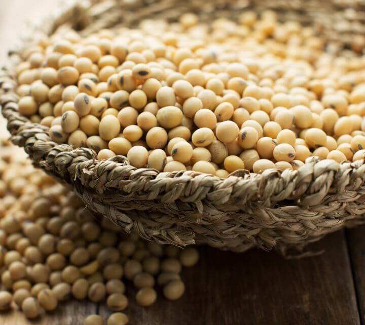La soja, rica en proteínas de origen vegetal