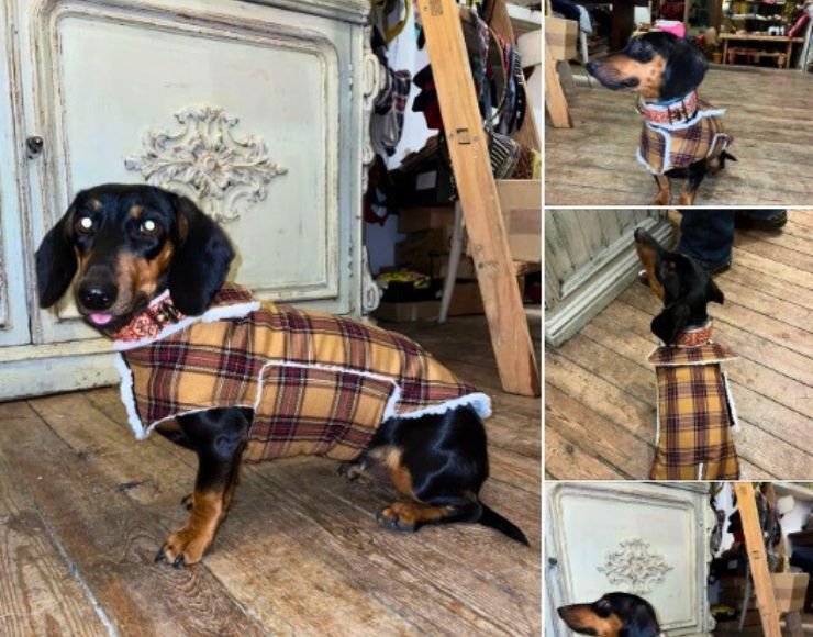 Ropa y abrigos a medida para perros y gatos