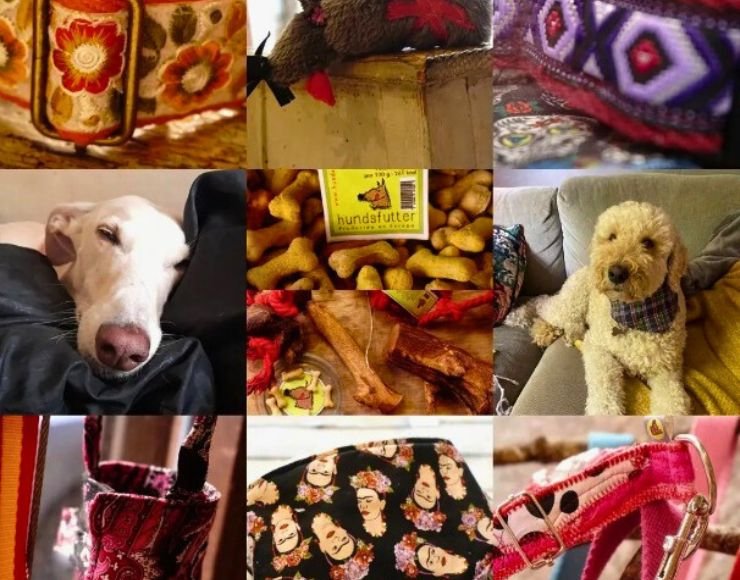 Snacks veganos para perros y gatos