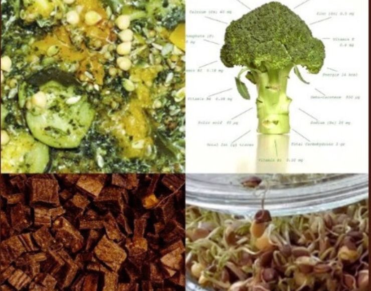 Snacks de verduras veganos para perros