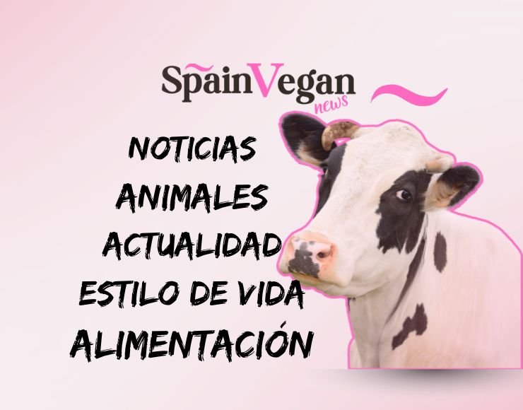 Medio digital vegano Spain Vegan news