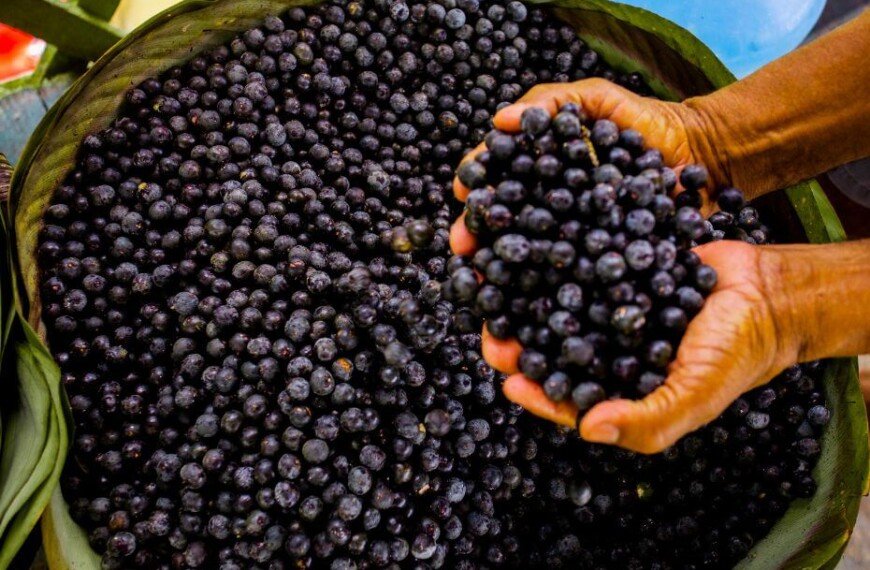 Acai beneficios y propiedades