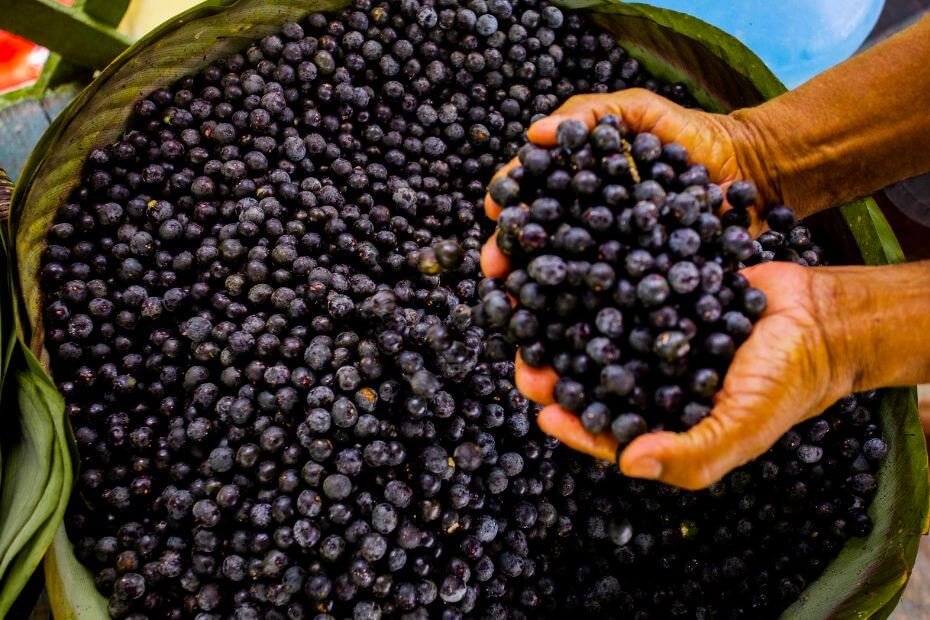 Acai beneficios y propiedades