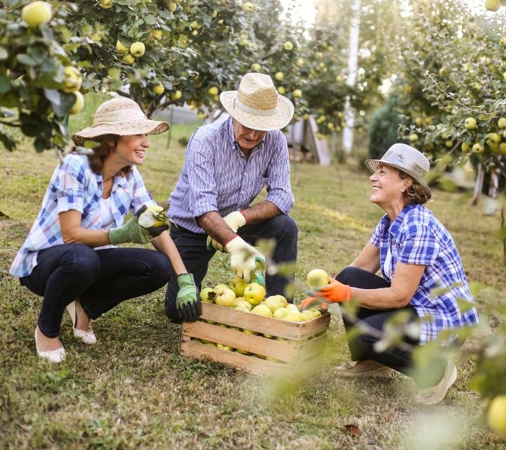 Proyectos sostenibles en España: Somos Imaginales