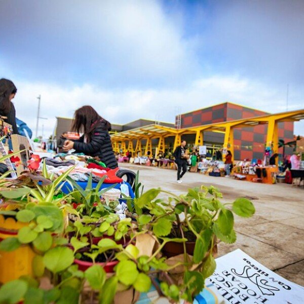 Rivas Vegan Fest