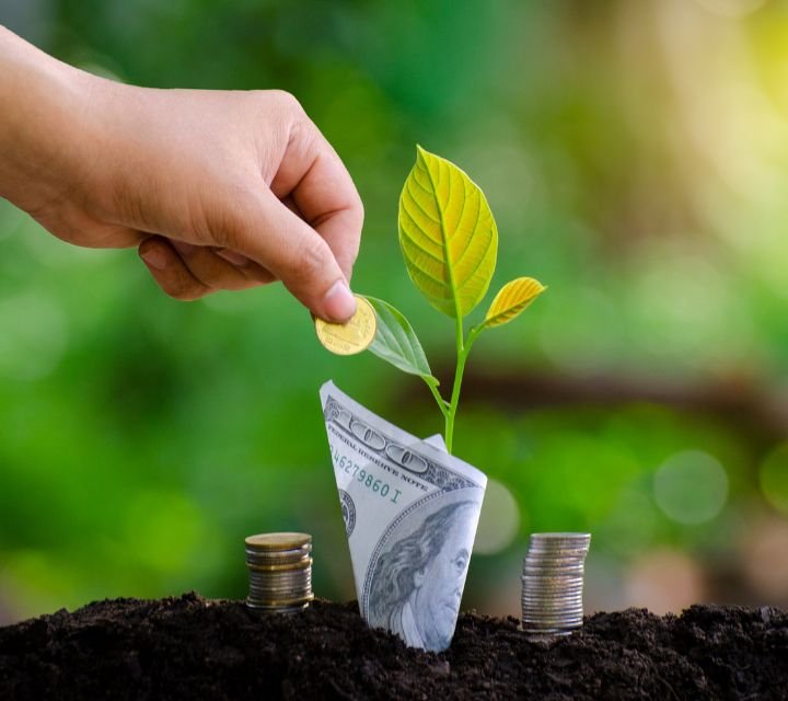 Inversión en bolsa para veganos